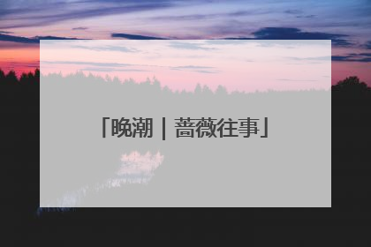 晚潮｜蔷薇往事